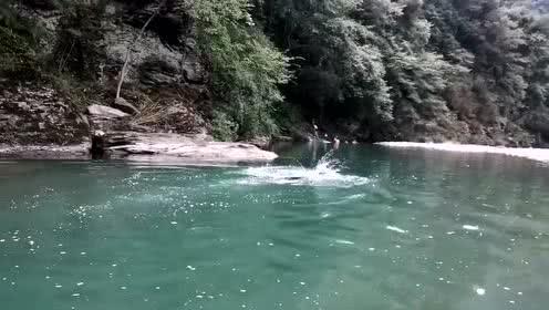 专业问答网站-